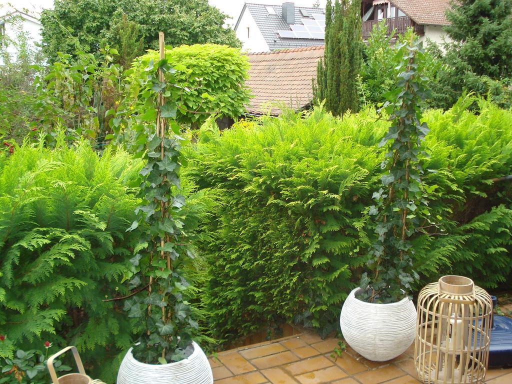 Ferienwohnung Sartorius Bensheim Rom bilde